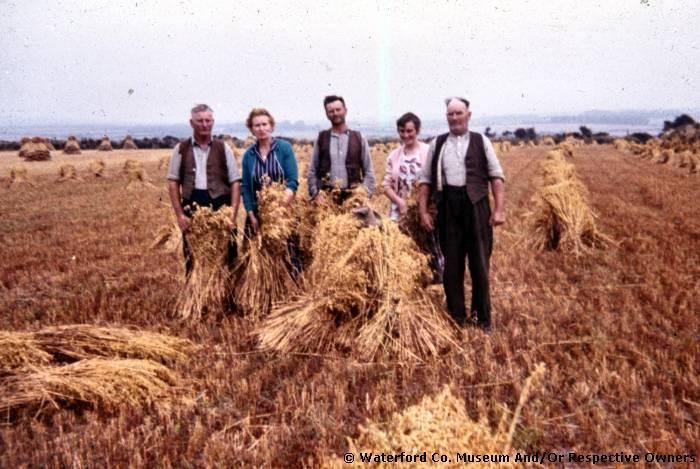 Five People In Wheat Field At Old Parish 