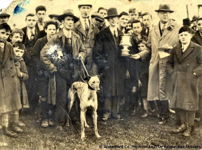Hare Coursing At Clonea, The Deise Cup Presentation