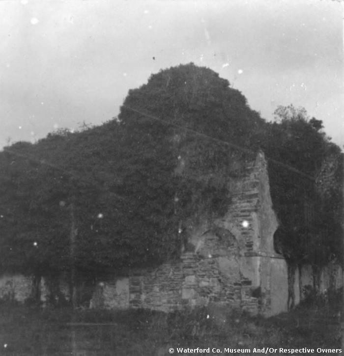 Two Facades Of Old Whitfield Court, Kilmeaden