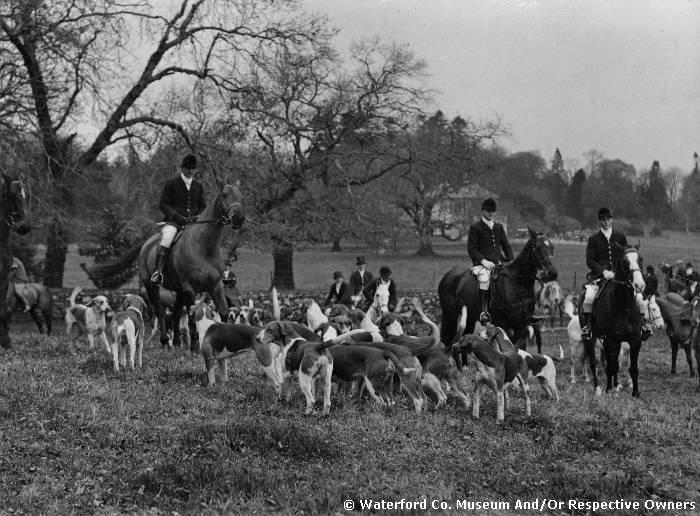 Fox Hunting At Ballinamona