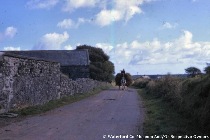 Horse And Cart On Road At Old Parish