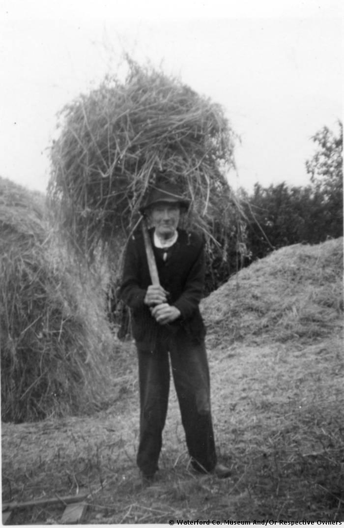 Paddy Casey Piking Hay, Dyrick, Ballinamult
