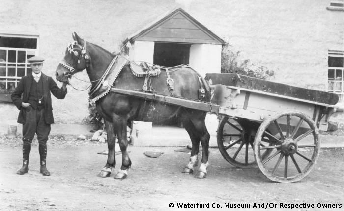 Horse And Cart At Powers Farm, Adamstown