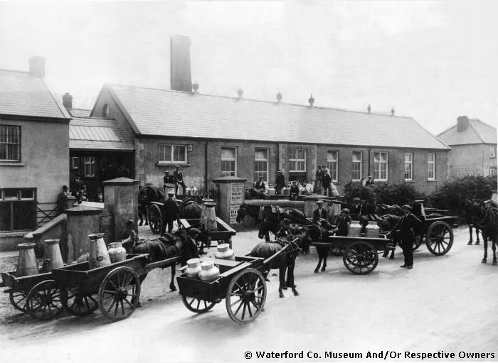 Farmers Bringing Milk To Kilmeaden Creamery