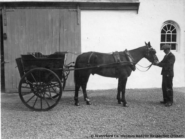 Billy Denny Carroll With Horse And Trap, Stradbally