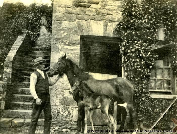 Employee With Two Ponies, Salterbridge House, Cappoquin