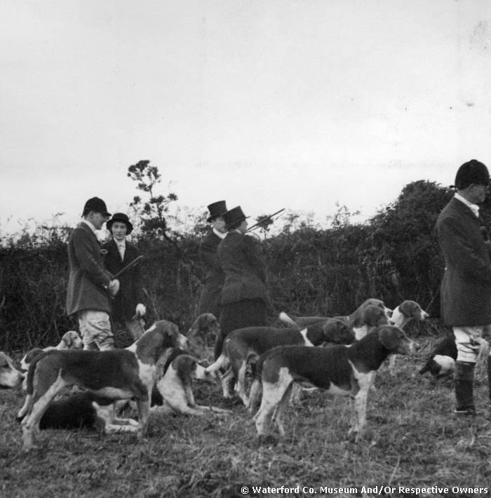 Huntspeople And Hounds Near Newtown