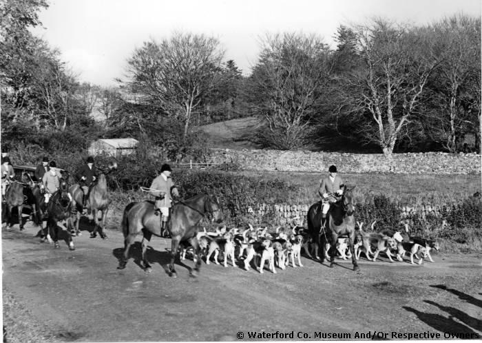 Hunting With Hounds Near Castletown School