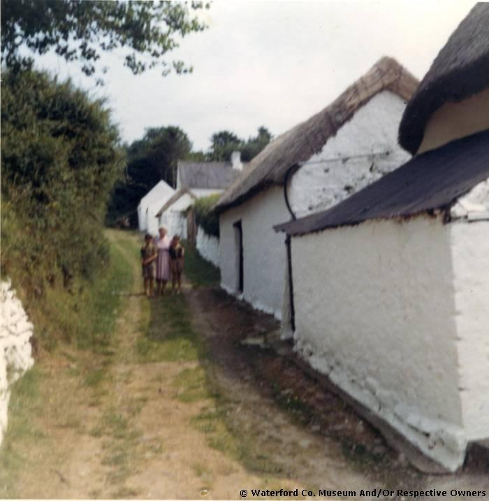 Whelan's Farm, Dromore Aglish