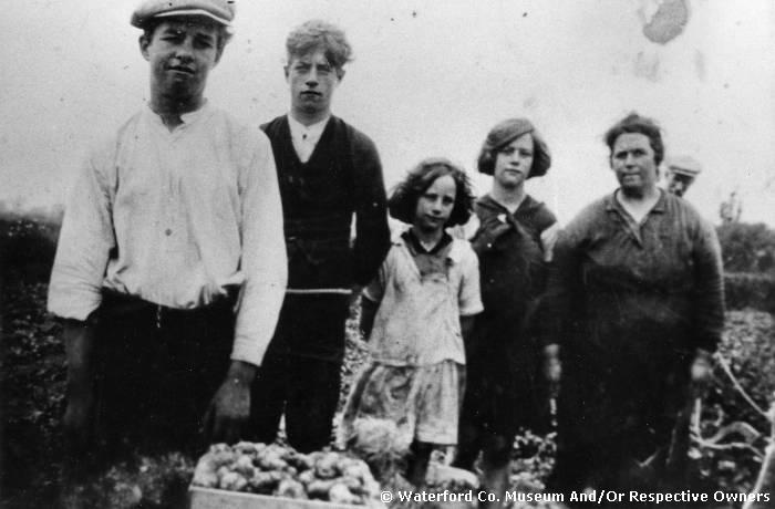 Daly Family, Ballinclamper, Ballinacourty