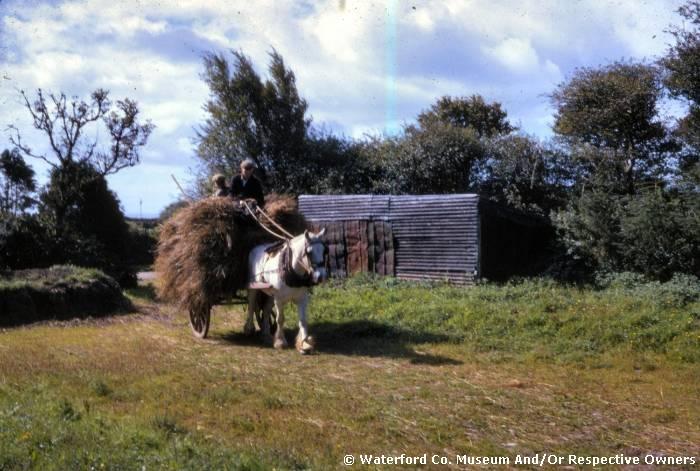 Men With A Horse And Cart Full Of Hay