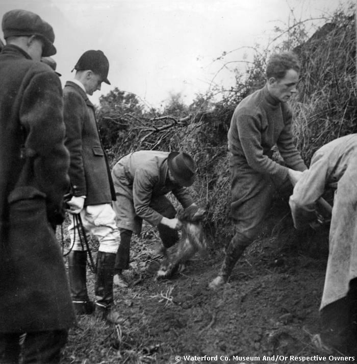 Digging Out The Fox, Newtown