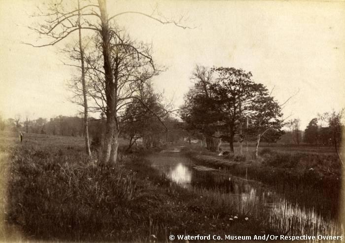Canal At Whitfield Court, Kilmeaden