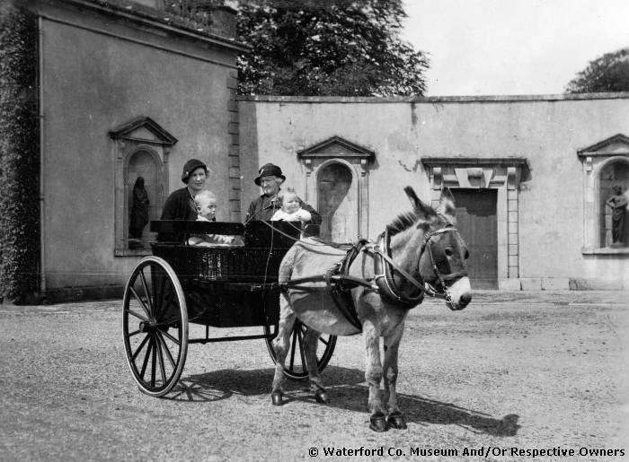 Donkey And Trap, Curraghmore House
