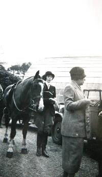 Gaultier Harriers Meet At Glenview House, Stradbally