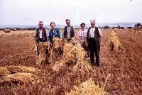 Five People In Wheat Field At Old Parish 