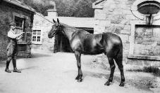 Mr McGrath And &rsquo;Alec&rsquo;, Curraghmore Estate