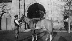 P Cunningham Holding A Horse