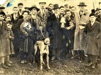 Hare Coursing At Clonea, The Deise Cup Presentation