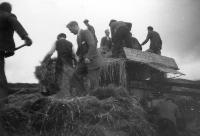 Threshing Straw, Dyrick, Ballinamult
