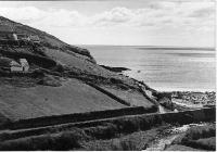 Ballyvoyle Cottages And Coast