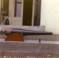 Palliser Gun