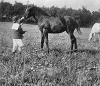 Boy With Pony At Whitfield Court, Kilmeaden