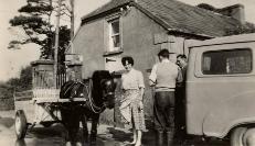 Peggy O&rsquo;Donnell At O&rsquo;Donnells Dairy
