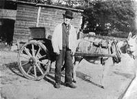Ned Curran At Comeragh House