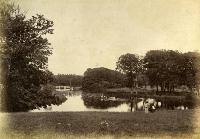 Boating On The Lake, Ballinamona House, Tramore Road, Waterford