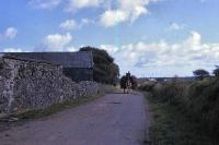 Horse And Cart On Road At Old Parish