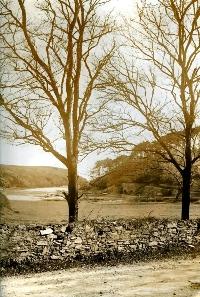Stradbally Cove With Lime Kiln