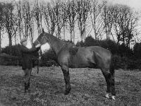 Johnny McGrath Holding Ardaprior, Georgestown House, Kill
