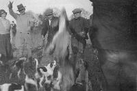 The Hunt, Dromore, Aglish