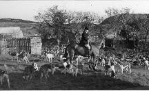 Huntsman Dick Russell Surrounded By Hounds