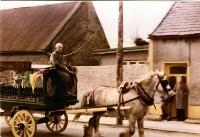 Joe Foley Driving Power&rsquo;s Brewery Horse And Wagon