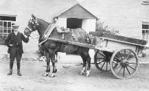 Horse And Cart At Powers Farm, Adamstown