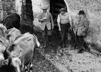 Robin Hunt?, George Maher?  And William Beresford