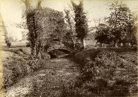 Old Bridge At Whitfield Court, Kilmeaden