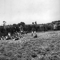 Huntsmen Digging Out A Fox Near Newtown