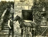 Employee With Two Ponies, Salterbridge House, Cappoquin