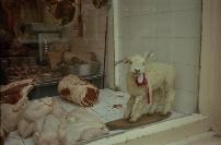John Morrissey&rsquo;s Butchers Shop, Dungarvan