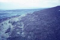 Famine Road, The Nire