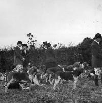 Huntspeople And Hounds Near Newtown