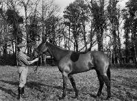 Henry Dunphy Holding Bemjamin, Georgestown House, Kill