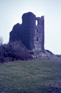 Dunhill Castle