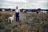 Unidentified Man Feeding A Sheep At Old Parish