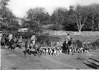 Hunting With Hounds Near Castletown School