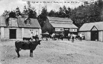 Agricultural Students In Mount Melleray Farmyard