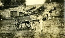Employee In Donkey And Cart, Salterbridge House, Cappoquin 